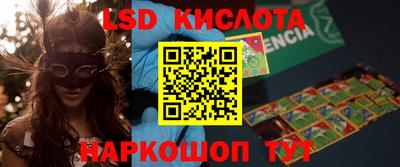 spice Моздок